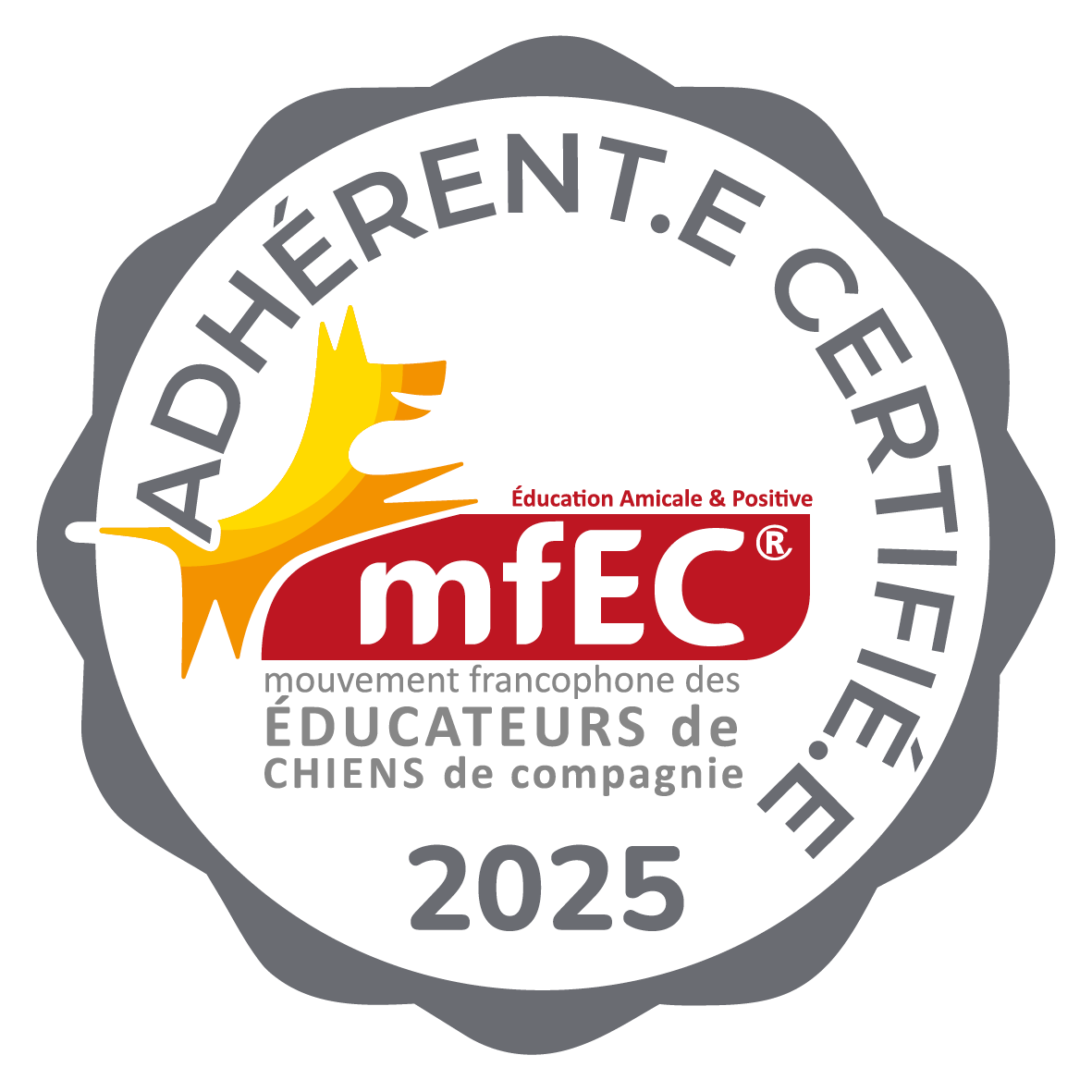 mfec