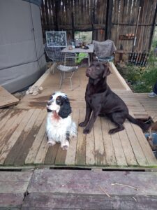 Deux copains qui s'entendent à merveille