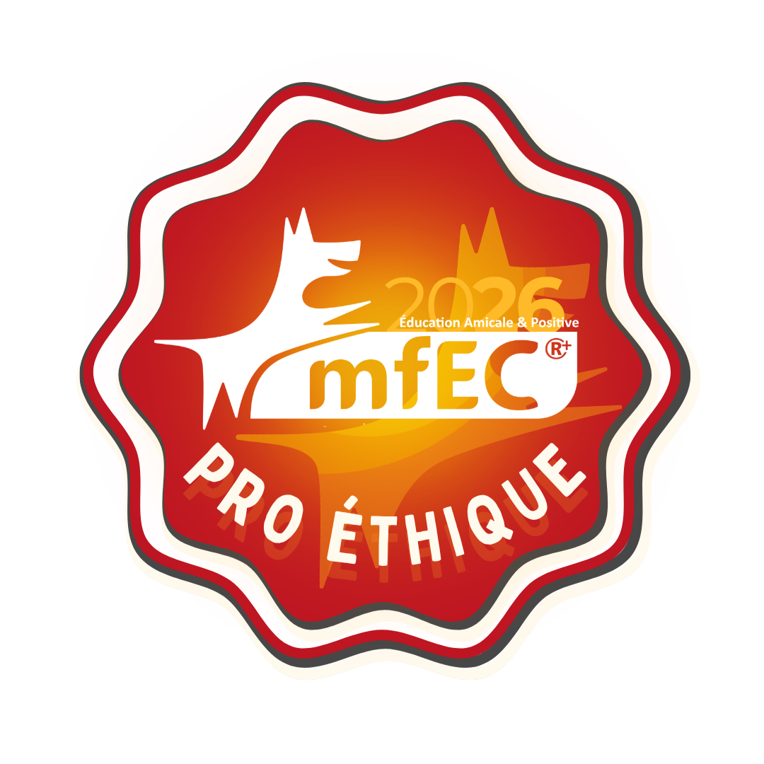 Logo Pro éthique MFEC 2026